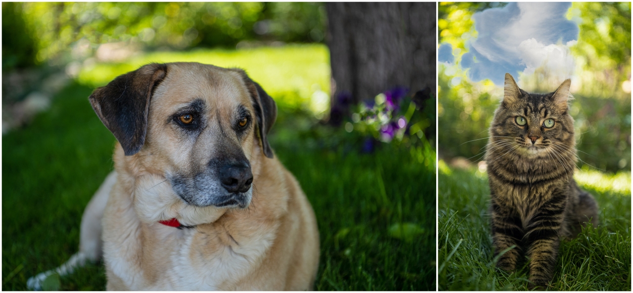 Caltrider_ family portraits