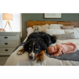 Experienced Professional Newborn portrait photographer