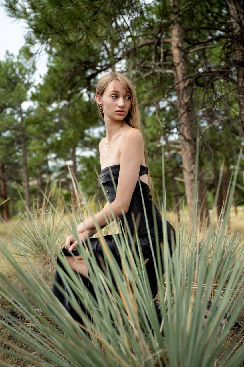 ponderosa