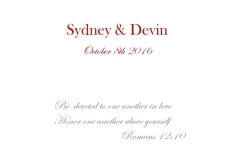 Denver Metro Wedding Photographer